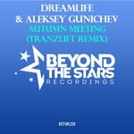 cover: Dreamlife & Aleksey Gunichev - Autumn Meeting (TranzLift Remix)