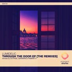 cover: Lumidelic - Through The Door (The Remixes)