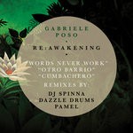 cover: Gabriele Poso - Re: Awakening