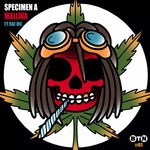 cover: Raf Mc|Specimen A - Mallwa