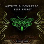 cover: Astrix|Domestic - Pure Energy