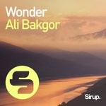 cover: Ali Bakgor - Wonder