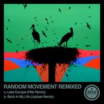 cover: Random Movement - Random Movement Remixed