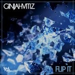 cover: Ginjahvitiz - Flip It