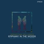 cover: Sebastian Sellares - Epiphany In The Woods