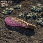 cover: Audio Bigot - Thaw