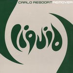 cover: Carlo Resoort - Remover