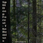 cover: Split - Deep Forest