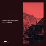 cover: Malkov|Various - Downtempo Grooves III Exclusive