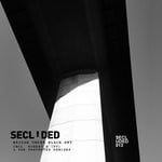 cover: Secluded - Bridge Under Black Sky