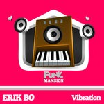 cover: Erik Bo - Vibration