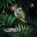 cover: Various - Illuminate