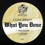 cover: Concinnity - What You Done