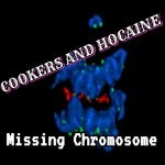 cover: Cookers|Hocaine|Ziondread - Missing Chromosone (Remixes)