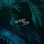 cover: Tempo Bay - Shouldn't Be Afraid