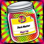 cover: Dark Matter - Magic Trip