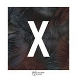 cover: Various - Voltaire Music Pres X