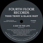 cover: Black Riot|Todd Terry - A Day In The Life