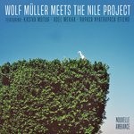 cover: The Nile Project|Wolf Muller - Wolf Muller Meets The Nile Project