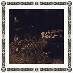 cover: Sarah Davachi - Pale Bloom