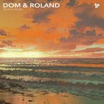 cover: Dom & Roland - Beach Bum/Dred Sound