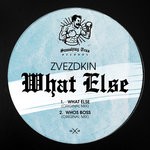 cover: Zvezdkin - What Else