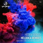 cover: Hidden Identity - Melodica Remixes