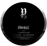 cover: Bungle - Physical Dub/Healing/Inner Mask