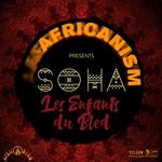 cover: Africanism Allstars Produced By Soha - Les Enfants Du Bled