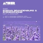 cover: Stefan Brandenburg|Stereophonie - Not A Downer