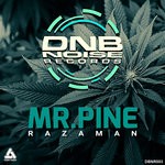 cover: Mr.pine - Razaman