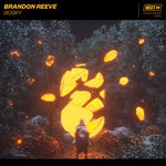 cover: Brandon Reeve - Bosky