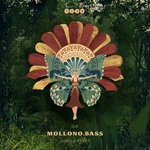 cover: Mollono.bass - Jungle Fever