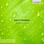 cover: Bunch Of Frequencies - Raindrops (Remixes)