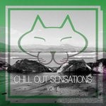 cover: Various - Chill Out Sensations Vol 6