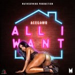 cover: Acegawd - All I Want