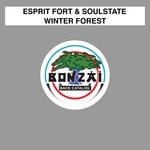 cover: Esprit Fort & Soulstate - Winter Forest