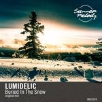 cover: Lumidelic - Buried In The Snow