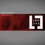 cover: Methodub - Anima\animus