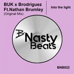 cover: Brodriguez|Buk|Nathan Brumley - Into The Light