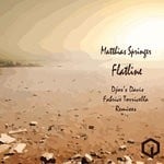 cover: Matthias Springer - Flatline