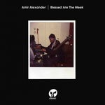 cover: Amir Alexander - Blessed Are The Meek (Extended Mix)