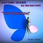 cover: Antonio Ocasio|Nina Hadzi Antich - That Something