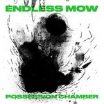 cover: Endless Mow - Possession Chamber