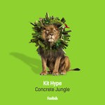 cover: Kit Hype - Concrete Jungle