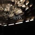 cover: Lunas - Feels