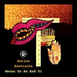 cover: Hollow & Rawtrachs - Means To An End 01