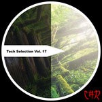 cover: Davide Nigro|Anonyms|Benttum|Cut N Glue|Jens Mueller|Thesamplethief - Tech Selection Vol 17