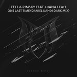 cover: Diana Leah|Feel & Rimsky - One Last Time