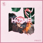 cover: Frozt - Home